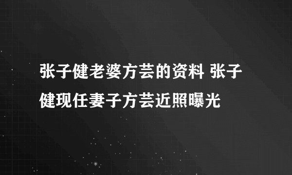 张子健老婆方芸的资料 张子健现任妻子方芸近照曝光