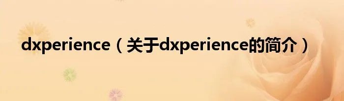 dxperience（关于dxperience的简介）