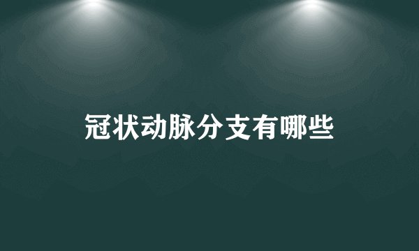 冠状动脉分支有哪些