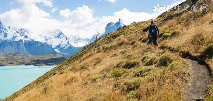 减肥药排行榜前十名,最好的减肥药排行榜