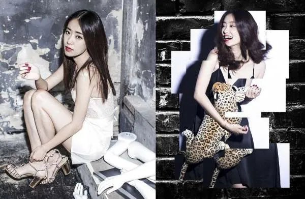 张小斐为什么会被淘汰?