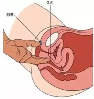 啪啪时这三款”经典姿势“的精髓，你可能并没有掌握  