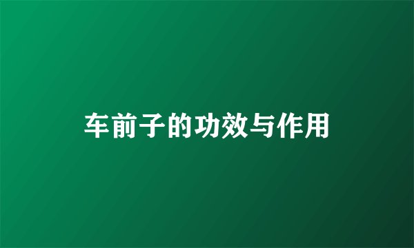 车前子的功效与作用