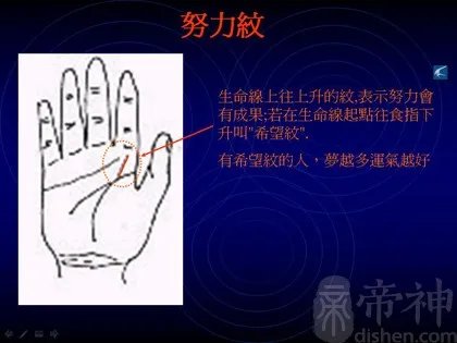 教你如何看手相？看手相算命图解大全
