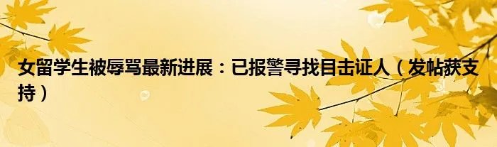 女留学生被辱骂最新进展：已报警寻找目击证人（发帖获支持）