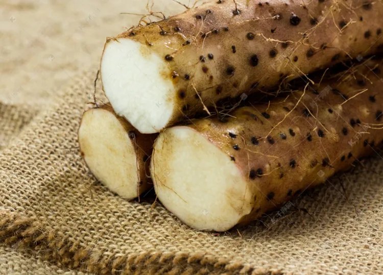 淮山药的功效与作用