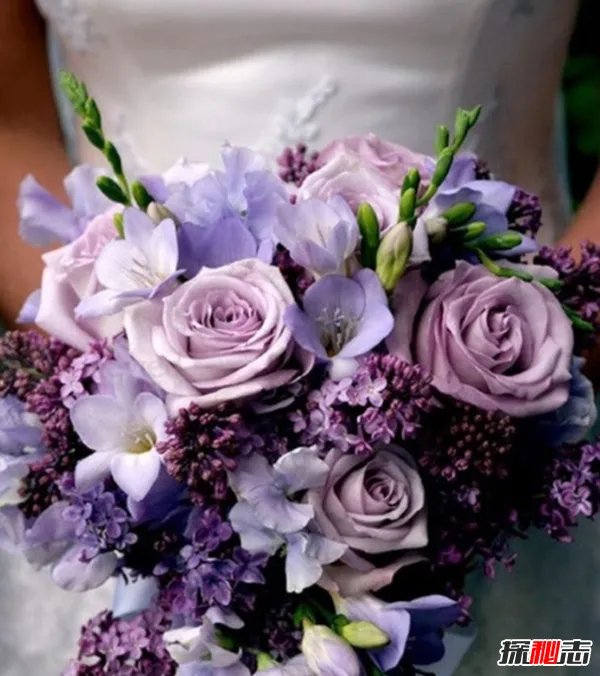 新娘为啥要拿捧花?真相让人崩溃(借花香遮掩身上难闻的臭味)
