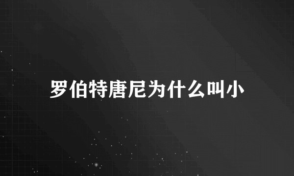 罗伯特唐尼为什么叫小