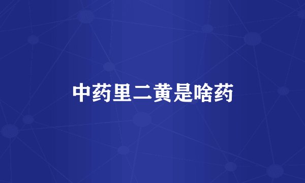 中药里二黄是啥药