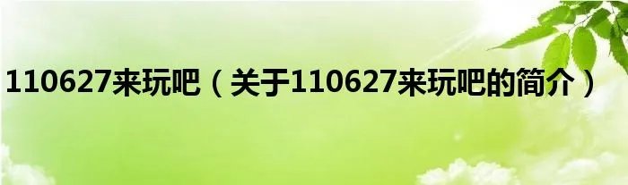 110627来玩吧（关于110627来玩吧的简介）