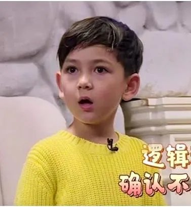 萌宠六个小孩都是谁:萌宠小大人六个萌娃资料介绍