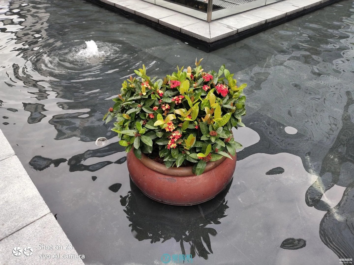 vivo 新机z3参数（vivo Z3详细评测）