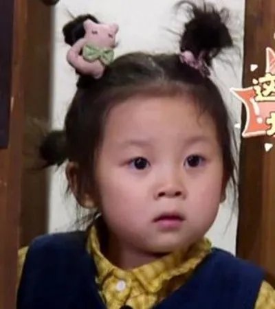 萌宠六个小孩都是谁:萌宠小大人六个萌娃资料介绍