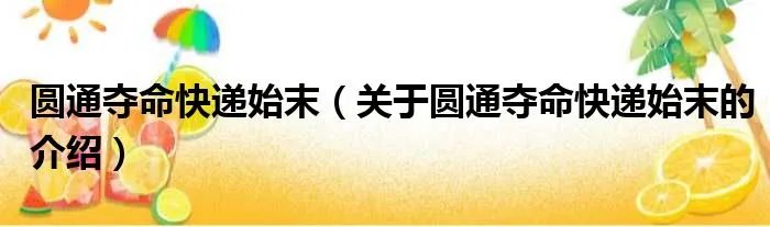 圆通夺命快递始末（关于圆通夺命快递始末的介绍）