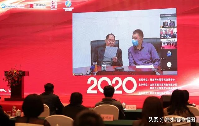 海水稻真的能试种成功吗？