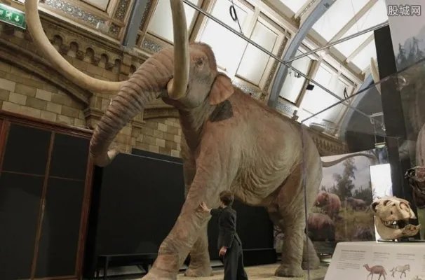 猛犸象遗骸将拍卖 发现于冰河时代至少价值45万欧元