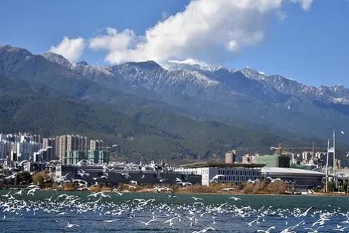 大理3.4级地震最新动态 云南1年内发生3级以上地震51次