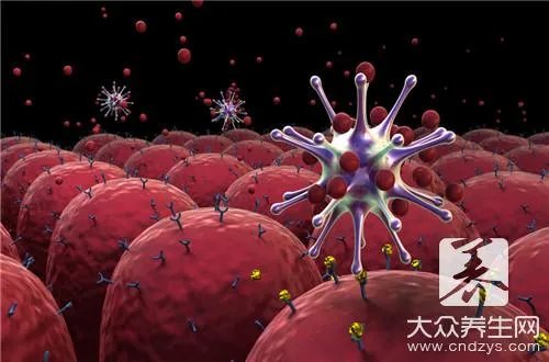 g病毒和t病毒哪个厉害             