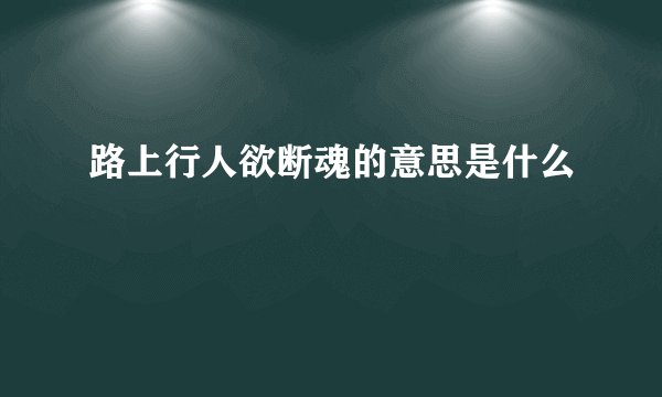 路上行人欲断魂的意思是什么