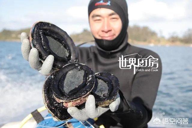 除了《游钓中国》，你还喜欢什么钓鱼类视频？