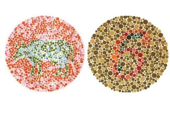 色盲测试图怎么看