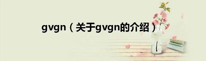 gvgn（关于gvgn的介绍）
