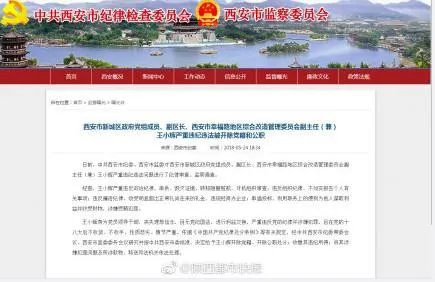 王小辉因何被双开了?