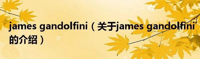 james gandolfini（关于james gandolfini的介绍）