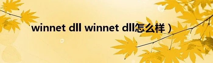 winnet dll winnet dll怎么样）