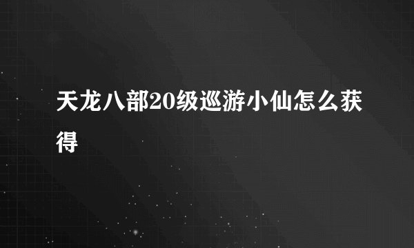 天龙八部20级巡游小仙怎么获得