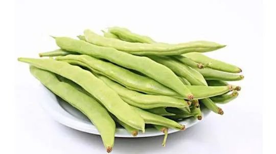 价值千万科研玉米被偷摘是是怎么回事？什么玉米价值这么高