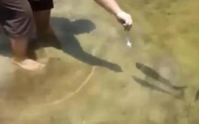 男子把老鼠放进水面-下幕不可思议（组图）