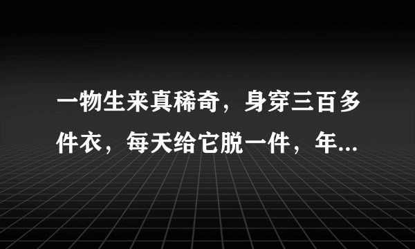 一物生来真稀奇，身穿三百多件衣，每天给它脱一件，年底剩下一张皮 提示：打一物品