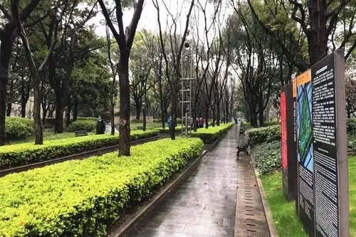 受疫情影响上海部分公园临时闭园，当地的疫情情况如何？