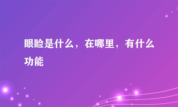 眼睑是什么，在哪里，有什么功能