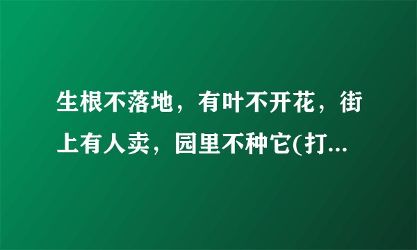 生根不落地，有叶不开花，街上有人卖，园里不种它(打一植物)