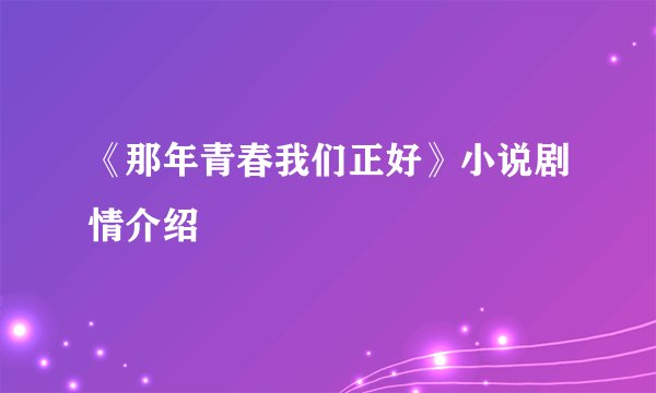 《那年青春我们正好》小说剧情介绍