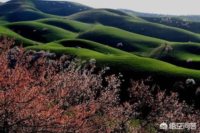 大西北有哪些旅游的好地方?