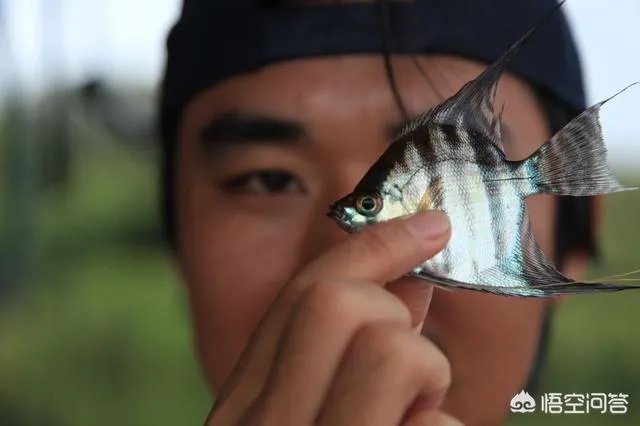 除了《游钓中国》，你还喜欢什么钓鱼类视频？