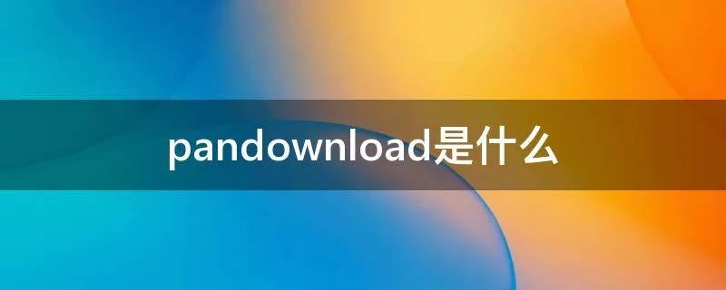 pandownload是什么