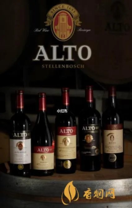 Alto是什么红酒多少钱？价格与品质完美匹配