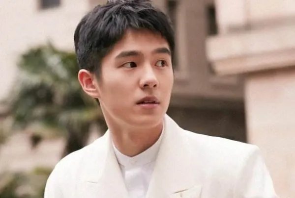 刘昊然晒乐高,为何能引起网友的广泛关注?