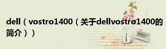 dell（vostro1400（关于dellvostro1400的简介））