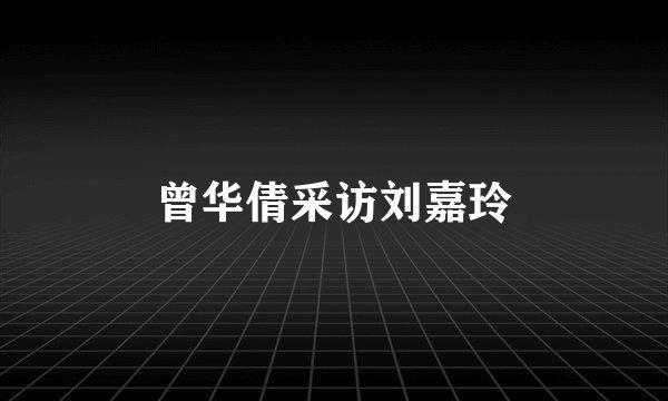 曾华倩采访刘嘉玲