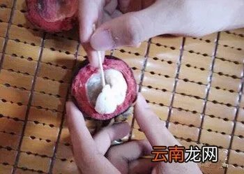 山竹怎么剥皮图解 快速剥山竹妙招