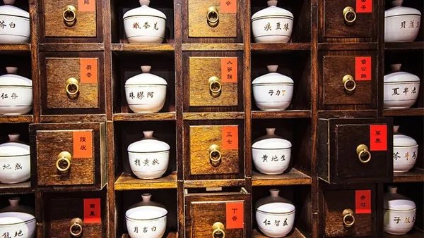 南沙参的功效与作用