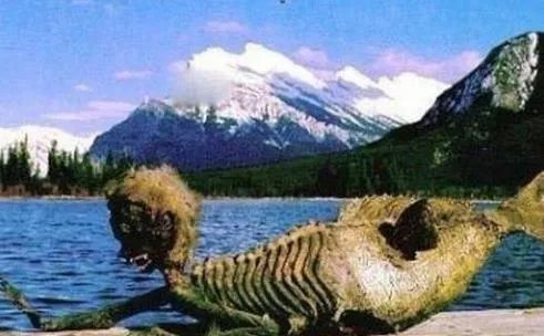 3000年神秘人鱼遗体竟罕见曝光（图）