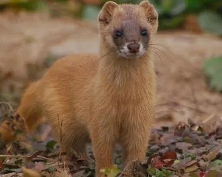 农村劳动竟发生怪事 想起都后怕!（组图）