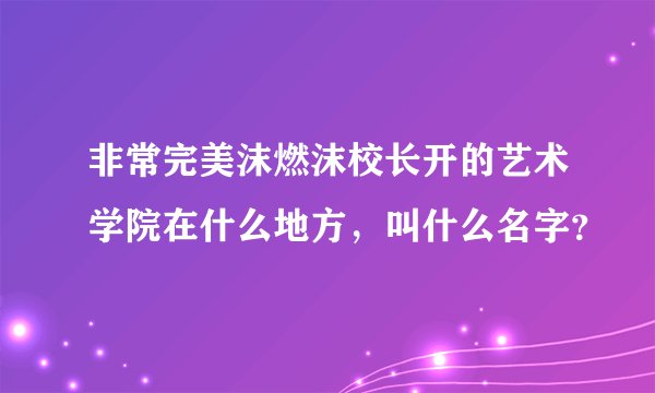 非常完美沫燃沫校长开的艺术学院在什么地方，叫什么名字？