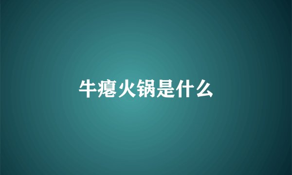 牛瘪火锅是什么